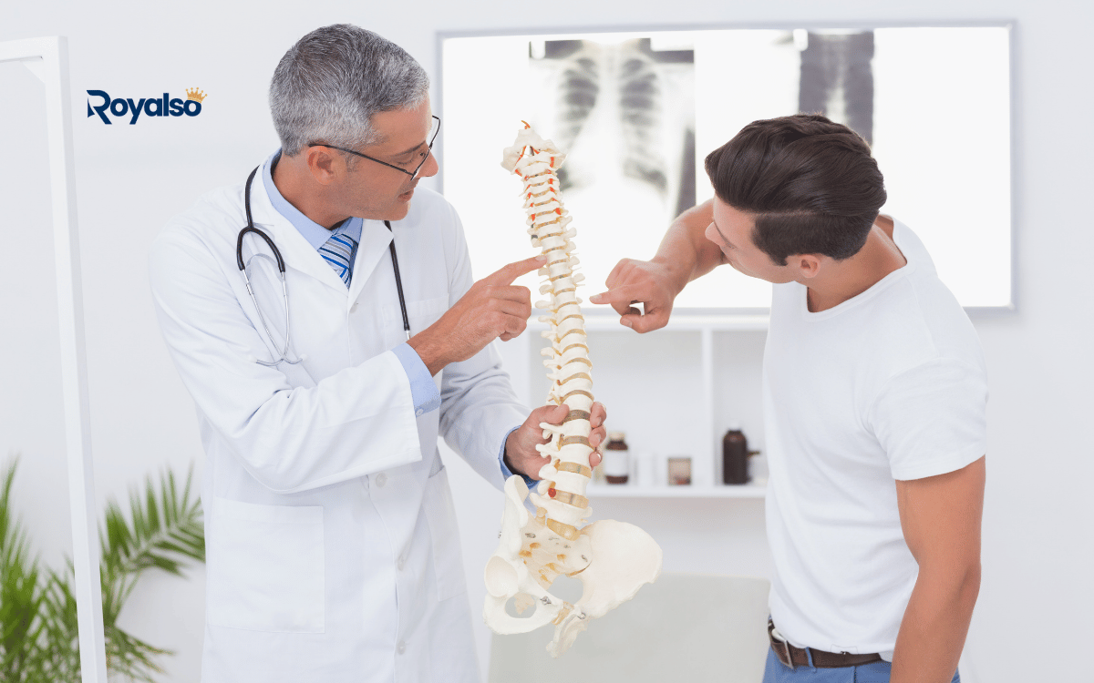 Chiropractor digital marketing SEO and appointment booking website by Royalso